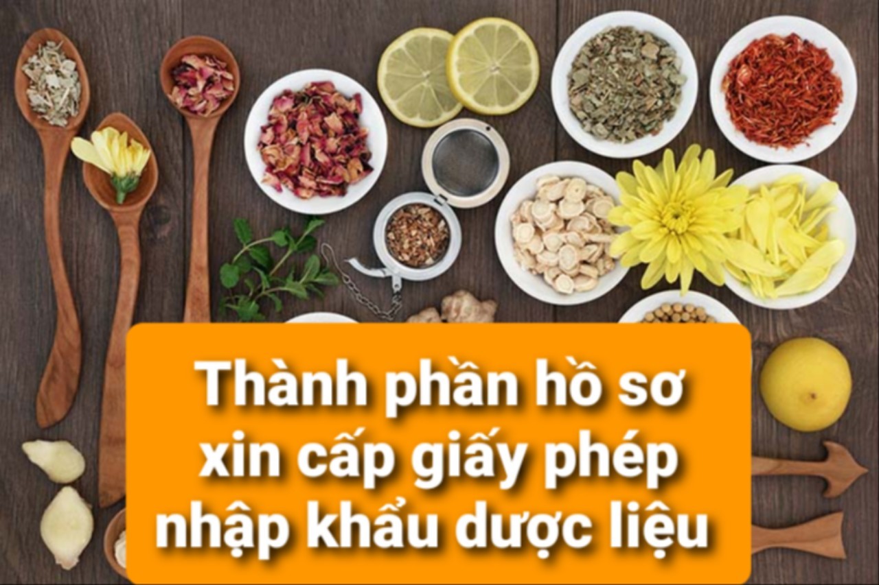 nhap-khau-duoc-lieu