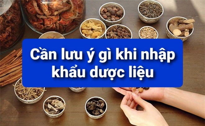 nhap-khau-duoc-lieu